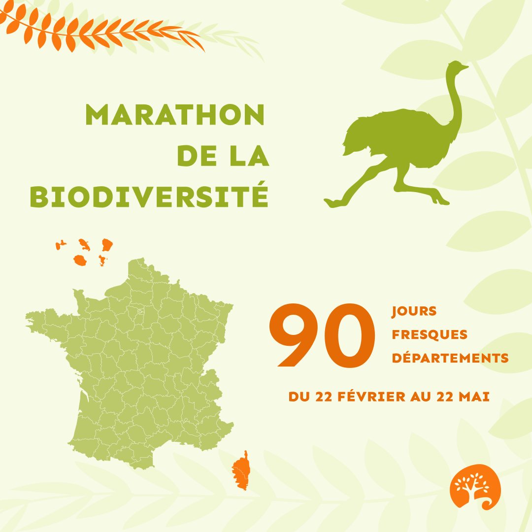 Oasis des Ages - atelier territoire biodiversite